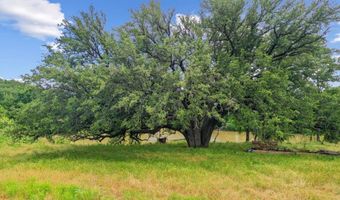 Tract 1 74.227 Acres Goen Road, Millsap, TX 76066