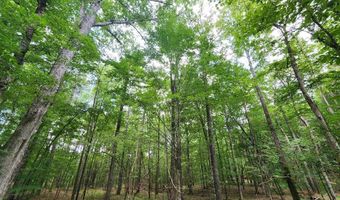Tbd Bahalia Rd, Brookhaven, MS 39601