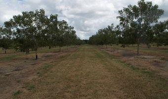 9953 Gravel Hl, Baconton, GA 31716