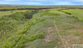 1542 W Rim Loop Rd, Ashton, ID 83420