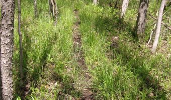 Dumke Lane, Abrams, WI 54101