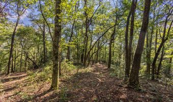 23 59 Ac Chestnut Flats Rd, Andrews, NC 28901