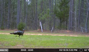 Highway 28, Abbeville, SC 29620