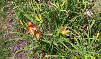 106 CREEKSIDE Dr, Dagsboro, DE 19939