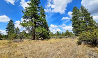 Swan Drive 16 & 17, Bonanza, OR 97623