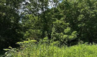 Bryant Hollow Road, Alderson, WV 24910