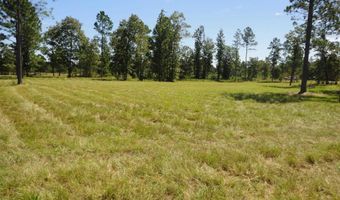 434 Hound Hollow Rd, Camden, SC 29020