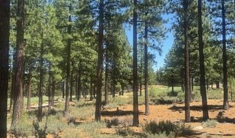 184 Redding Way 261, Carson City, NV 89705
