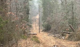 ELLY RD lot 50 81, Aroda, VA 22709