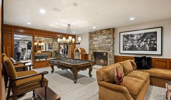 303 W Hopkins Ave, Aspen, CO 81611