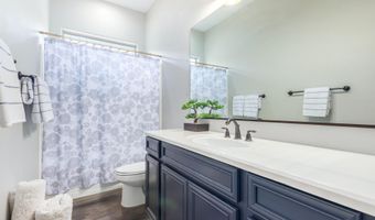 3941 E NOLAN Dr, Chandler, AZ 85249