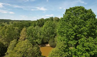 12459 County Road 5-402, Ava, MO 65608