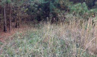 421041 E 1945 Ln, Antlers, OK 74523