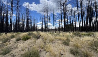 0 Shasta Fir Ln 9, Beatty, OR 97621