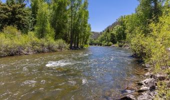 209 Deer Path Ln, Almont, CO 81230