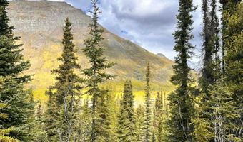 B005 S Packsaddle Road, Chickaloon, AK 99674