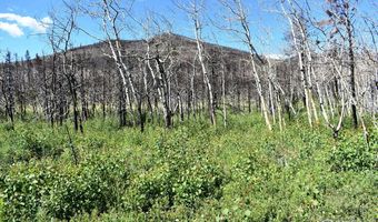 2025 Granite Rd, Bellvue, CO 80512