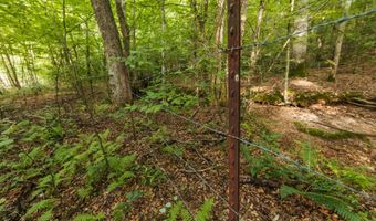 0 Brooksie Thompson Rd, Bath Springs, TN 38311