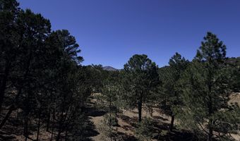 146 Antler Dr Lot 115A, Alto, NM 88312