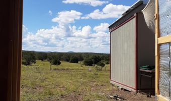 460 461 CR8301, Concho, AZ 85924