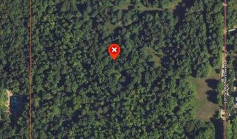 1091 Plum Valley Rd NW, Alden, MI 49612