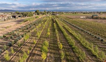 9001 2100 Rd, Austin, CO 81410