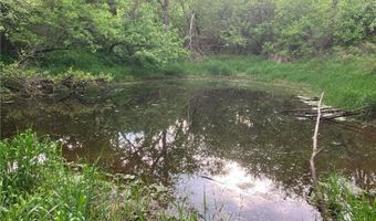 N3953-201 Bear Pen Road, Arkansaw, WI 54721