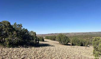 006 N8604, Concho, AZ 85924