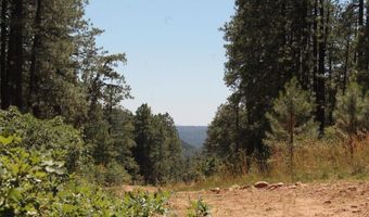 190 Jackalope Dr, Bayfield, CO 81122
