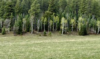 15098 CR 240, Bayfield, CO 81122