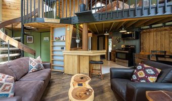 163 LONE HAND Way, Breckenridge, CO 80424