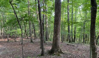 0 Willow Grove Hwy, Allons, TN 38541