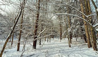 00 Fawn Lake Rd, Addison, NY 14801