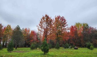 9537 LAKEVIEW, Alanson, MI 49706