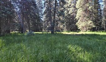 201 Golden Forest Rd, Bayfield, CO 81122