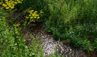 260 Gladstone Hollow Rd, Andes, NY 13731