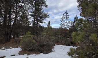 Jaguar Lane Lot 7 & 8, Bonanza, OR 97623