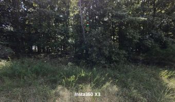 16949 Us 160, Alton, MO 65606