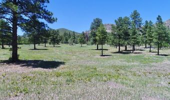 28111 County Rd 41.4, Aguilar, CO 81020