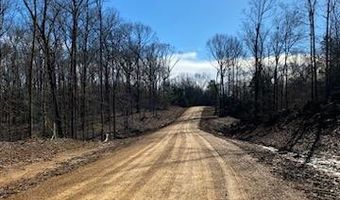 Tate Marshall Road, Coldwater, MS 38618