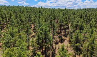 23251 Elk Trl, Aguilar, CO 81020