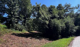 210 Ball Gap Rd, Arden, NC 28704