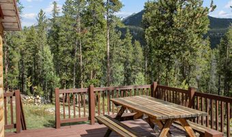 761 Cabin Creek Rd, Allenspark, CO 80510