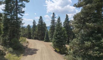 9 Buckskin Rd, Angel Fire, NM 87710