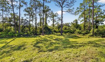 2006 McArthur Ave, Alva, FL 33920