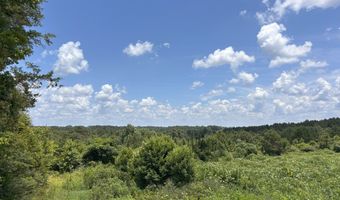 0 CR-215, Ariton, AL 36311