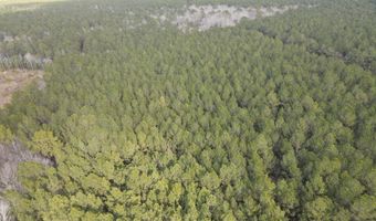 Tbd Highway 461, Ahoskie, NC 27910