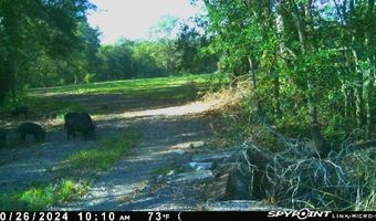 1226 Joe Kidder Rd, Arnaudville, LA 70512