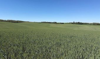 N 4600 E, Ashton, ID 83420