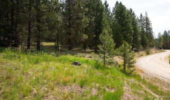 63 Price Loop, Cascade, ID 83611